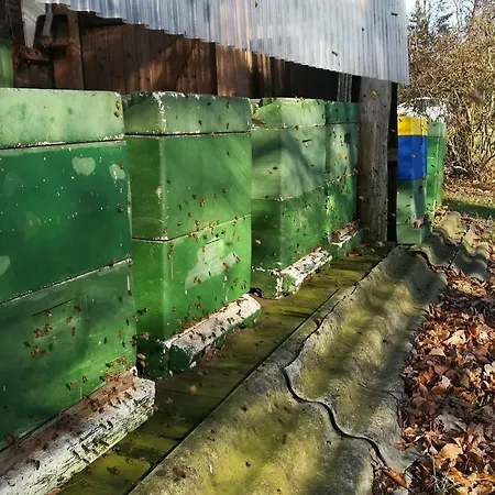 Apartment Wiesenweg Bad Bederkesa